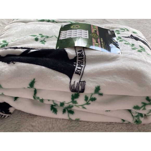 Wicked Elphaba Soft Plush Throw Blanket 50 X 70” Wizard of Oz White Ht Broom NEW - Picture 10 of 12